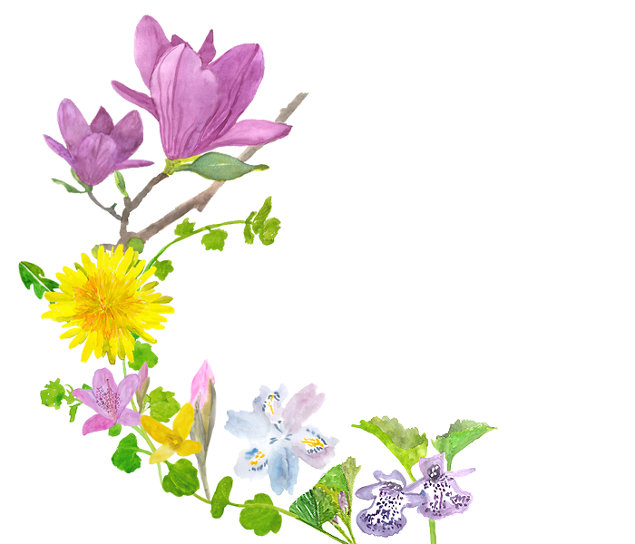 春のお花のイラストの上にSEVENORANGEのロゴを動かしています。